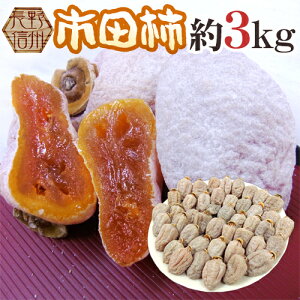 ”長野・南信州産 市田柿” L〜3L 約3kg【予約 12月中旬以降】 送料無料