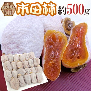 ”長野・南信州産 市田柿” L〜3L 約500g【予約 12月中旬以降】 送料無料