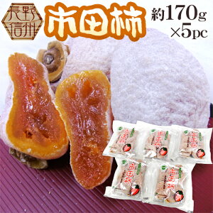 長野・南信州産 ”市田柿” 約170g×5pc(1パックに4〜8個前後)L〜3L【予約 12月以降】 送料無料