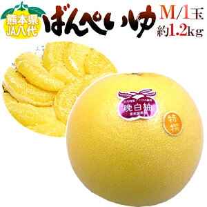 hF{Y ӔMh ΂؂ Gi MTCY 1.2`1.3kgy\ 12ȍ~z