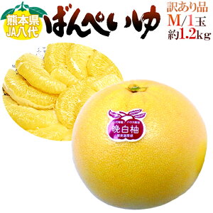 hF{Y ӔMh ΂؂ Ɩ󂠂 MTCY 1 1.2kgOy\ 12ȍ~z