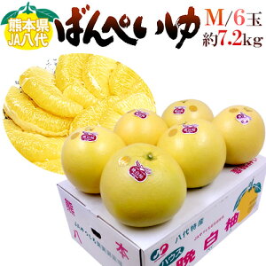 F{Y hӔMh ΂؂ Gi MTCY 6 7.2kg ϔy\ 12ȍ~z 