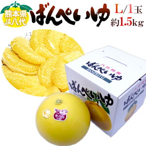 F{Y hӔMh ΂؂ Gi LTCY 1 1.5`1.8kg ϔy\ 12ȍ~z 