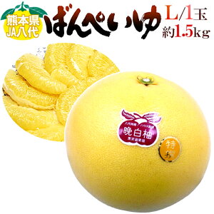 hF{Y ӔMh ΂؂ Gi LTCY 1.5`1.8kgy\ 12ȍ~z