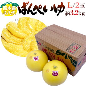 熊本県八代特産 ”晩白柚” ばんぺいゆ 秀品 Lサイズ 2玉 化粧箱入り【予約 12月以降】 送料無料