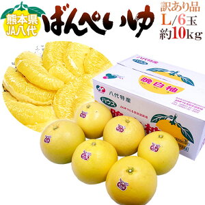 F{Y hӔMh ΂؂ Ɩ󂠂 LTCY 6 10kg y\ 12ȍ~z 