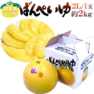 F{Y hӔMh ΂؂ Gi 2LTCY 1 2kg ϔy\ 12ȍ~z 