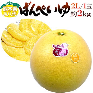 hF{Y ӔMh ΂؂ Gi 2LTCY 2kgy\ 12ȍ~z