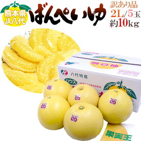 熊本県八代特産 ”晩白柚” ばんぺいゆ ちょっと訳あり 2Lサイズ 5玉 約10kg 無印【予約 12月以降】 送料無料
