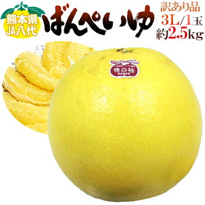 hF{Y ӔMh ΂؂ Ɩ󂠂 3LTCY 2.5kgy\ 12{ȍ~z