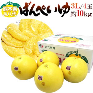 F{Y hӔMh ΂؂ Gi 3LTCY 4 10kgy\ 12{ȍ~z 