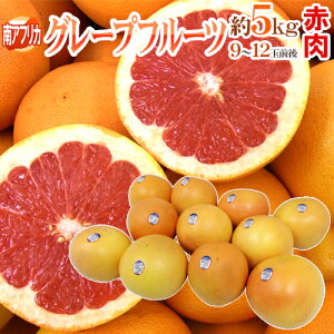 ��A�t���J�Y �h�O���[�v�t���[�c ���r�[�h ���9�`12�ʑO�� ��5kg�y�\�� 6�����{�ȍ~�z ��������