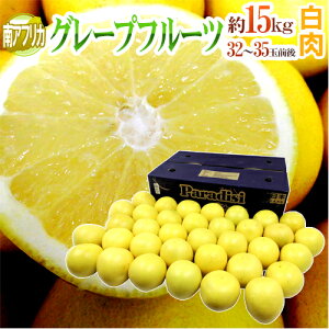 ��A�t���J�Y �h�O���[�v�t���[�c �z���C�g�h ���32�`35�ʑO�� ��15kg�y�\�� 6�����{�ȍ~�z ��������