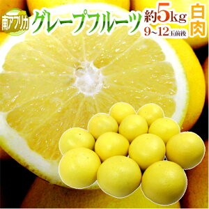 ��A�t���J�Y �h�O���[�v�t���[�c �z���C�g�h ���9�`12�ʑO�� ��5kg�y�\�� 6�����{�ȍ~�z ��������