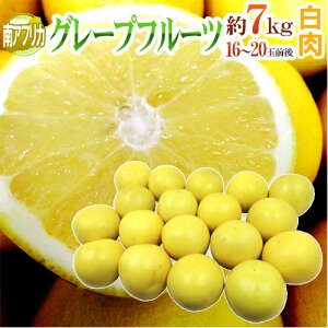 ��A�t���J�Y �h�O���[�v�t���[�c �z���C�g�h ���16�`20�ʑO�� ��7kg�y�\�� 6�����{�ȍ~�z ��������