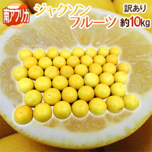 AtJY O[vt[c hWN\t[ch 󂠂 傫܂ 10kgy\ ׎攭z 