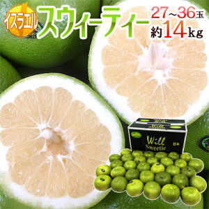 CXGY hXEB[eB[h  27`36 14kgy\ 1ȍ~z 