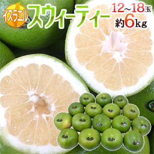 CXGY hXEB[eB[h  12`18 6kgy\ 1ȍ~z 