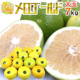 ”カリフォルニア産 メロゴールド” 大玉 10〜16玉前後 約7kg前後【予約 11月末以降】 送料無料