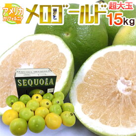 カリフォルニア産 ”メロゴールド” 超大玉 14〜23玉 約15kg【予約 11月末以降】 送料無料