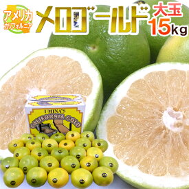 カリフォルニア産 ”メロゴールド” 大玉 23〜32玉 約15kg【予約 11月末以降】 送料無料