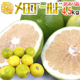 ”カリフォルニア産 メロゴールド” 訳あり 約4.5kg 大きさおまかせ【予約 11月末以降】 送料無料