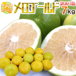 hJtHjAY S[hh 󂠂 7kgO 傫܂y\ 11ȍ~z 