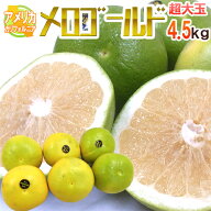 ”カリフォルニア産 メロゴールド” 大玉 6〜12玉前後 約4.5kg前後 お試し価格【予約 11月末以降】 送料…