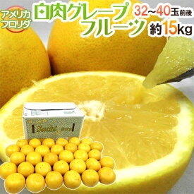 楽天市場 グレープフルーツ 品種 グレープフルーツ ホワイト フルーツ 果物 食品 の通販