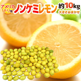 チリ・アメリカ産など ”ノンケミレモン” 大きさおまかせ 約10kg 安心の防ばい剤不使用！ノンケミカル/防黴剤（防かび剤）不使用【予約 入荷次第発送】 送料無料