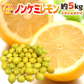 チリ・アメリカ産など ”ノンケミレモン” 大きさおまかせ 約5kg 安心の防ばい剤不使用！ノンケミカル/防黴剤（防かび剤）不使用【予約 入荷次第発送】 送料無料