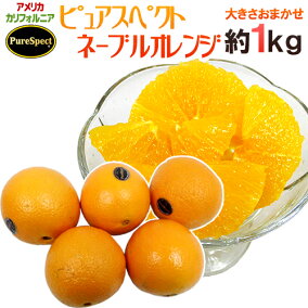 楽天市場 オレンジ 品種 オレンジ ネーブルオレンジ 総重量 果物 1 00 1 99kg 人気ランキング1位 売れ筋商品 週間ランキング