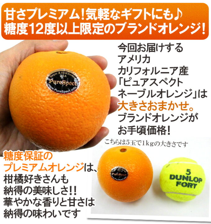 楽天市場】”プレミアムネーブルオレンジ ピュアスペクト” 約1kg 大きさ 