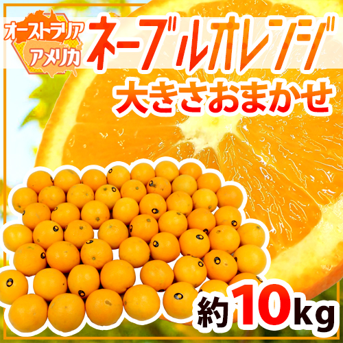 ”ネーブルオレンジ” 約10kg 大きさおまかせ アメリカ・オーストラリア産 送料無料