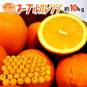 hl[uIWh 10kg 傫܂ AJEI[XgAYy\ ׎攭z 