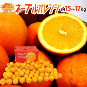 hl[uIWh 15`17kg 傫܂ AJEI[XgAYy\ ׎攭z 