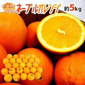 hl[uIWh 5kg 傫܂ AJEI[XgAYy\ ׎攭z 