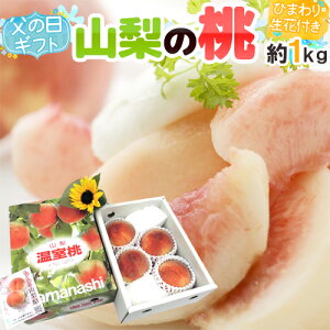 ���̓��M�t�g �h�R���̓��h �G�i 3�`6�� ��1kg�{�Ђ܂�萶��1�{�y�\�� 6��14�`21�����͂��\��z ��������