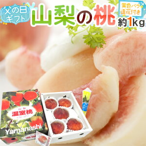 ���̓��M�t�g �h�R���̓��h �G�i 3�`6�� ��1kg�{���F�o������1�{�y�\�� 6��14�`21�����͂��\��z ��������