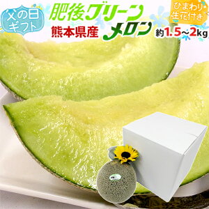 ���̓��M�t�g �h���O���[���������h �G�i 1�� ��1.5�`2kg�{�Ђ܂�萶��1�{�y�\�� 6��14�`21�����͂��\��z ��������
