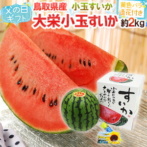 父の日 スイカの人気商品 通販 価格比較 価格 Com 父の日 スイカの人気商品 通販 価格比較 価格 Com