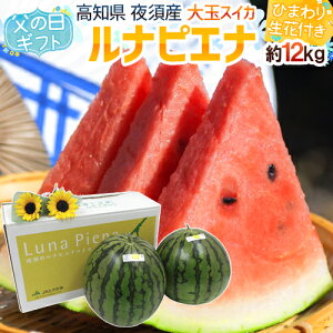 ���̓��M�t�g �h���i�s�G�i�������h �G�i 2�� ��12kg�ȏ�{�Ђ܂�萶��2�{�y�\�� 6��14�`21�����͂��\��z ��������