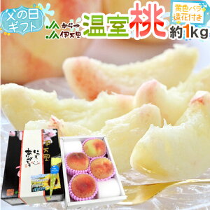 ���̓��M�t�g �h�������h 3�`6�� ��1kg�{���F�o������1�{ ���ϔ� ����Y ���P/���씒�P�y�\�� 6��14�`21�����͂��\��z ��������