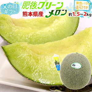 ���̓��M�t�g �h���O���[���������h �G�i 1�� ��1.5�`2kg�{���F�o������1�{�y�\�� 6��14�`21�����͂��\��z ��������