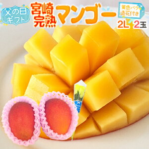 ���̓��M�t�g �h�{�芮�n�}���S�[�h �G�i ���2L 2��+�o������1�{�y�\�� 6��14�`21�����͂��\��z