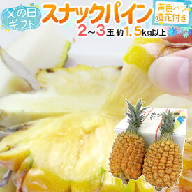 父の日ギフト ”スナックパイン” 2〜3玉 約1.5kg＋黄色バラ造花1本 専用産地箱【予約 6月9〜16日お届け予定】 送料無料