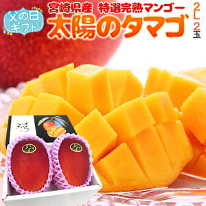 ���̓��M�t�g �h���z�̃^�}�S�h ���2L�T�C�Y 2�� ���ϔ� �y�\�� 6��14�`21�����͂��\��z ��������