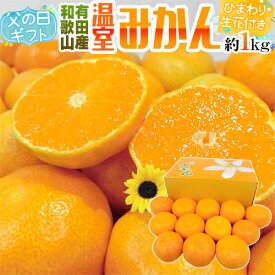 父の日ギフト ”有田 温室みかん” 秀品 12玉前後 約1kg＋ひまわり生花1本【予約 6月9〜16日お届け予定】 送料無料