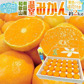 父の日ギフト ”有田 温室みかん” 秀品 24玉前後 約2kg＋バラ造花1本【予約 6月9〜16日お届け予定】 送料無料