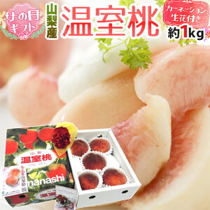 ��̓��M�t�g �h�R�� ���������J�[�l�[�V�������ԁh ���ϔ� 3�`6�� ��1kg�y�\�� 5��2���`5��10�����͂��\��z ��������